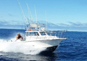 Westport Tuna Charters